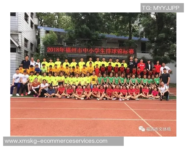 深圳排球队引领最新排球节奏TOP10榜单展现实力与魅力
