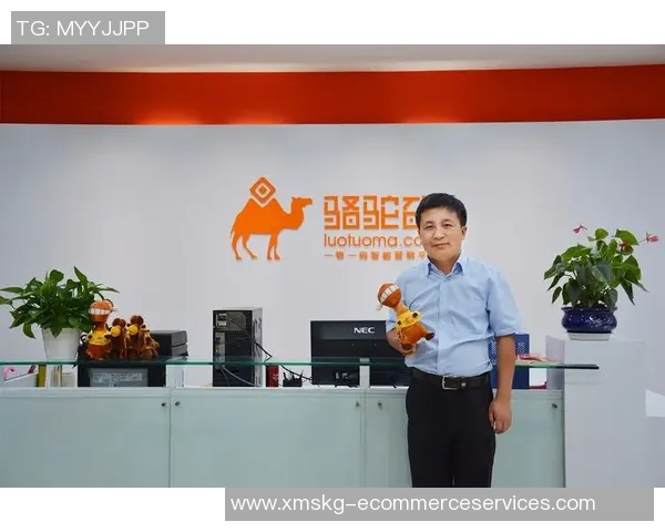 深圳足球队防守革新之路：从战术调整到球员素质提升的全面探讨